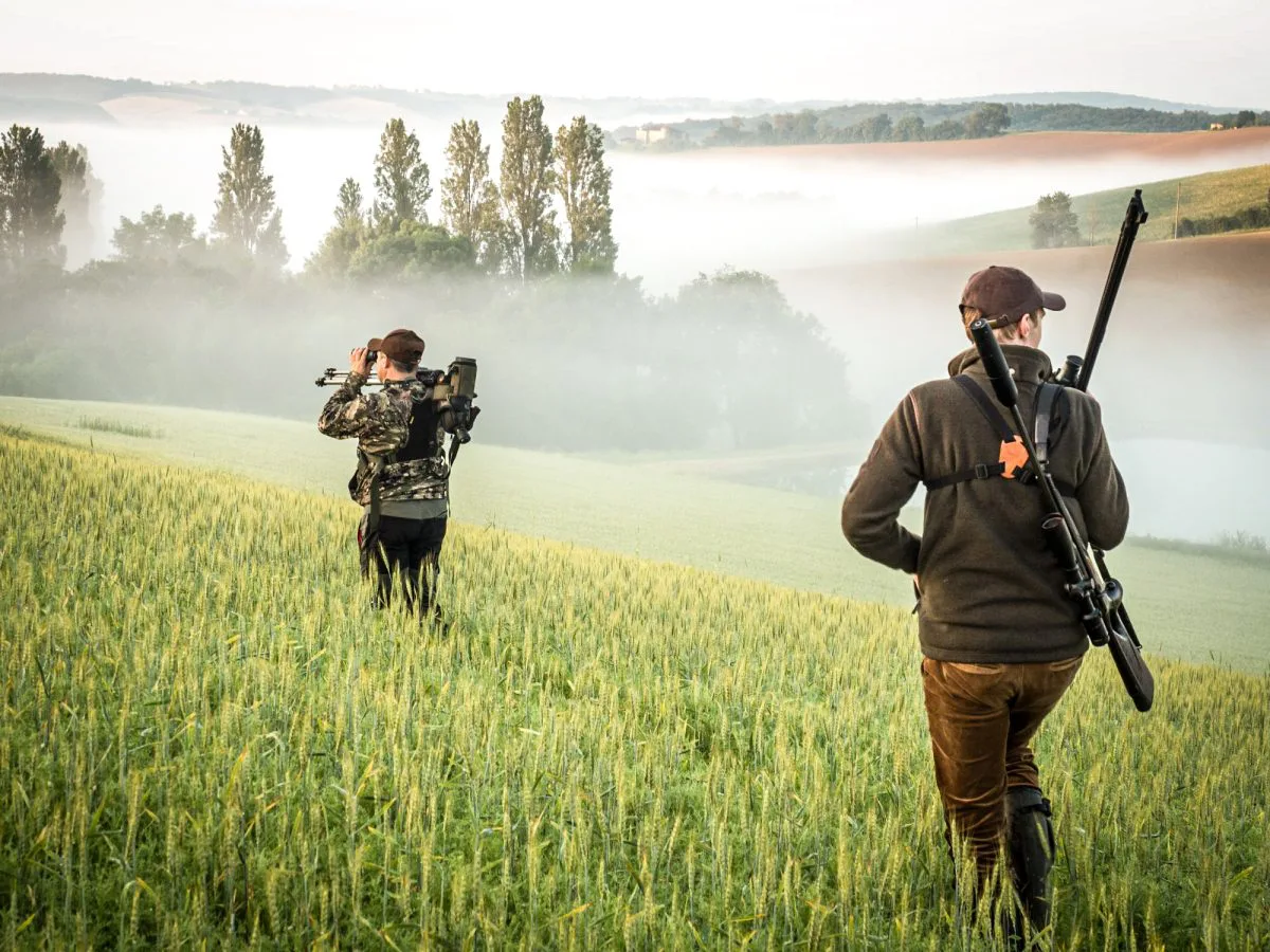 Deux chasseurs en tenue de camouflage marchant dans un champ vert et brumeux &agrave; l'aube, portant leurs fusils et leur &eacute;quipement de chasse.