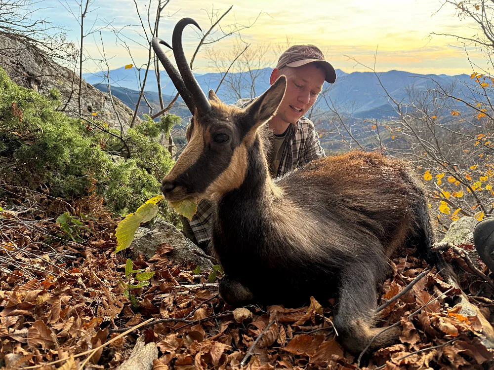 Caza de montaña en los Pirineos