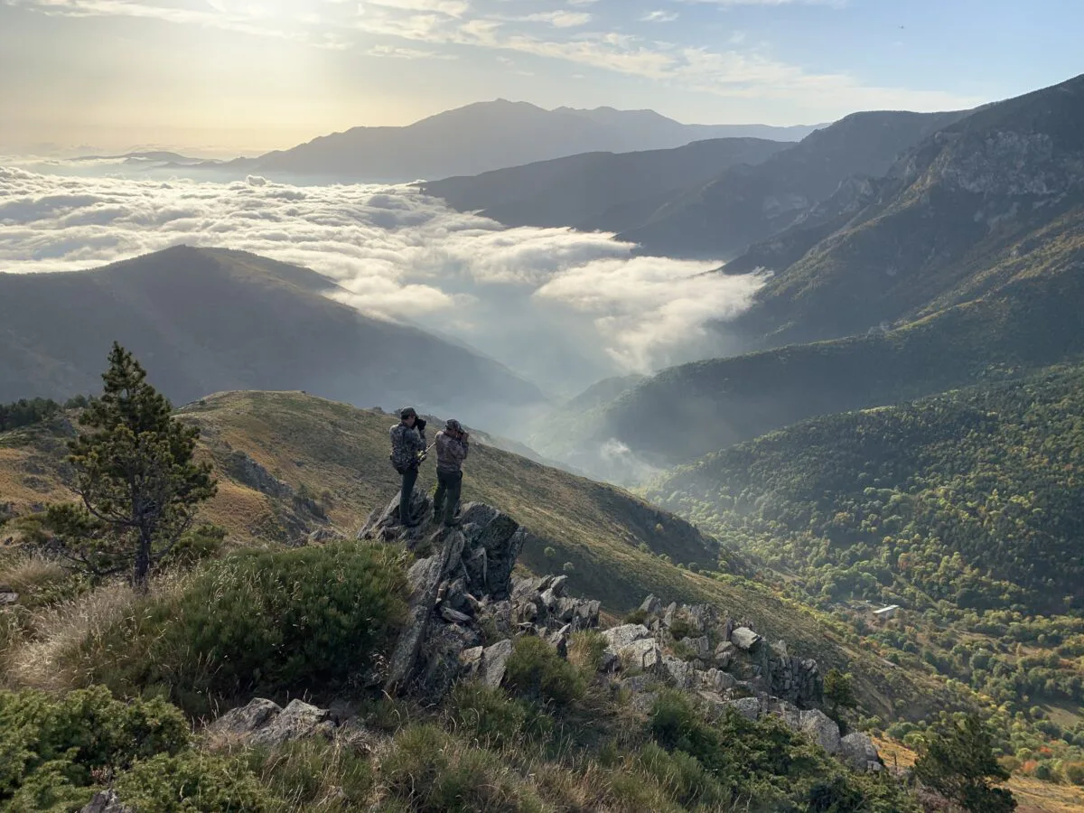 Voyages de chasse en France
Chasse &agrave; l&rsquo;approche sur territoires ouverts dans les Pyr&eacute;n&eacute;es et le Sud-ouest