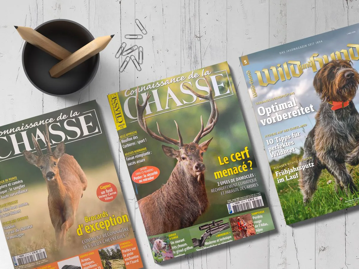 Sud Chasse está en la prensa