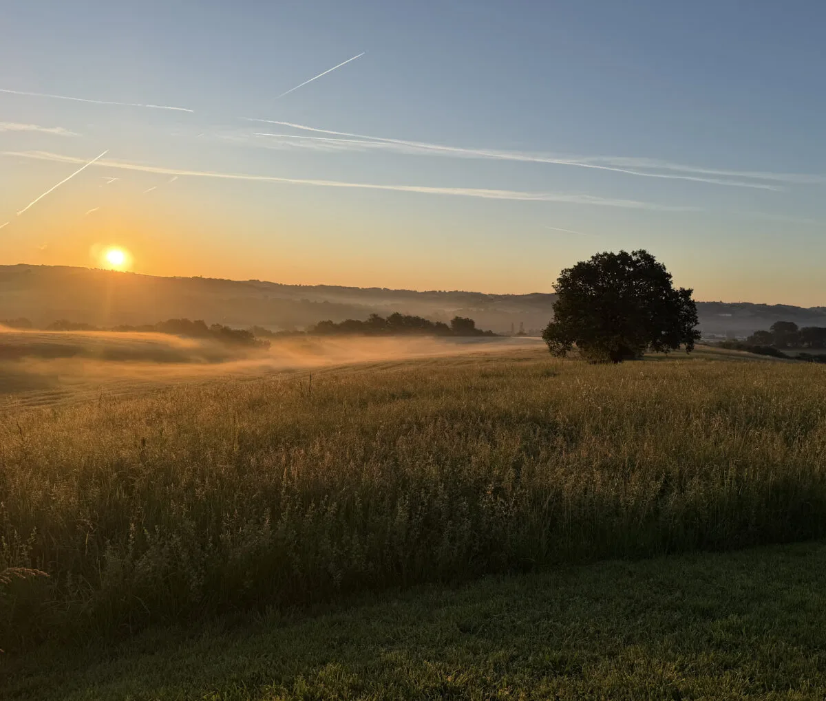 Voyages de chasse en France
Chasse &agrave; l&rsquo;approche sur territoires ouverts dans les Pyr&eacute;n&eacute;es et le Sud-ouest