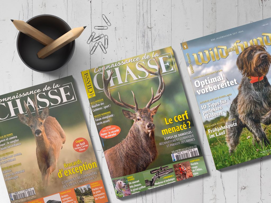 Three hunting-themed magazines spread out on a wooden surface, each featuring wildlife on the cover, with a pair of glasses and a wooden bowl nearby, suggesting a relaxing reading environment for an enthusiast.