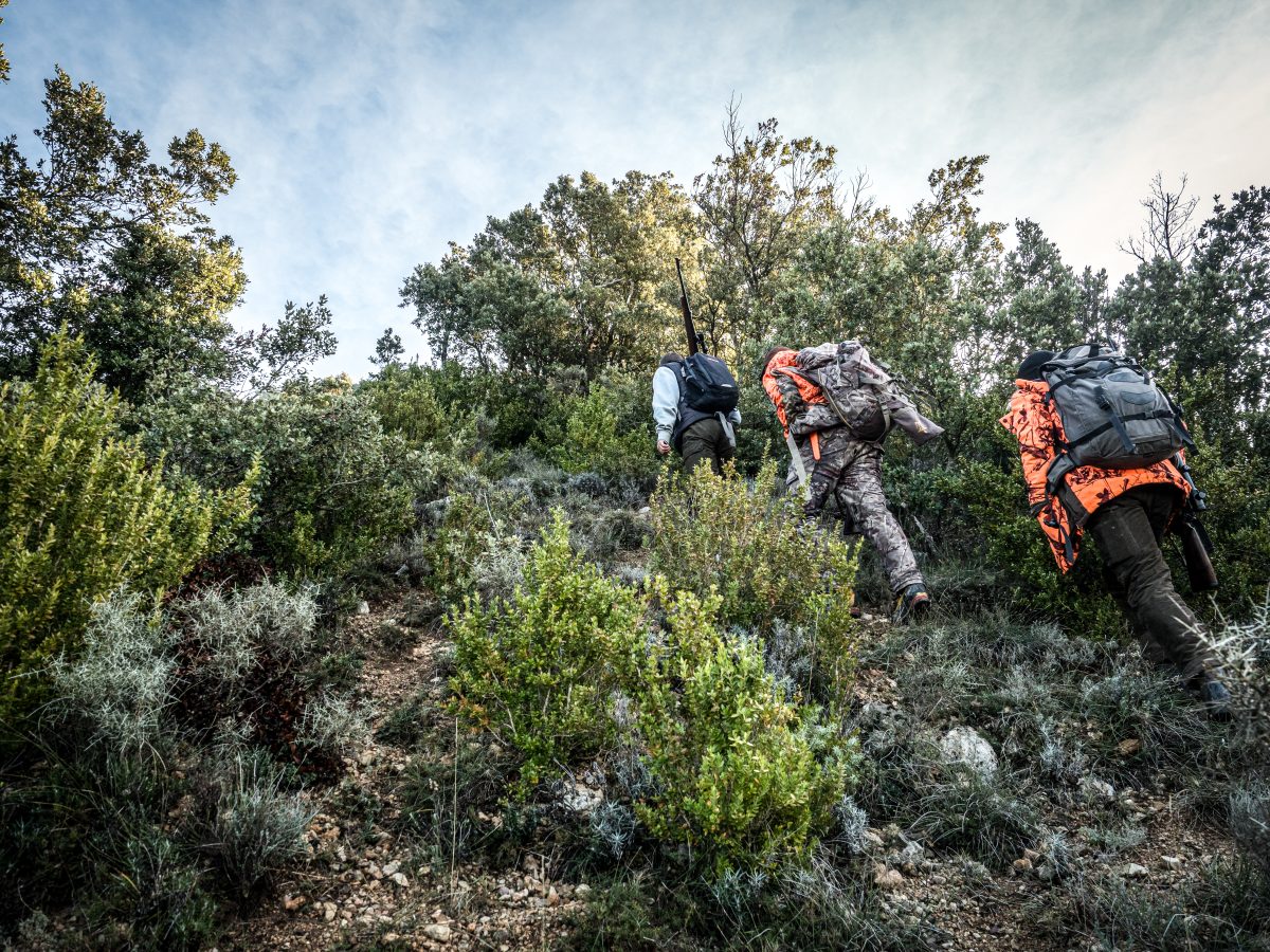 Tres cazadores con mochilas viajan a través de un terreno accidentado y una densa vegetación bajo un cielo despejado, y su camino los lleva a la naturaleza.