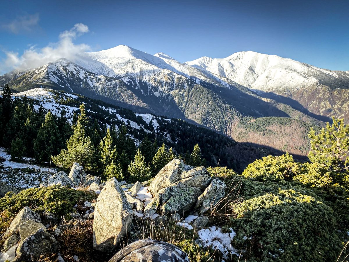 De majestueuses montagnes aux sommets enneigés dominant un paysage alpin serein avec des rochers dispersés et des arbres à feuilles persistantes, sous un ciel bleu vif avec des nuages vaporeux.