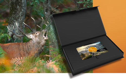 <i>For 1 hunter</i><br><b>Pyrenean Red Stag Stay</b><br><i>The offer includes</i><br>- 2 days of guided hunting.<br>- Gun hire during your stay.<br>- The tax for stags up to 10 caribou.<br>- Full board for 2 nights in a mountain lodge or inn.<br><em>2400 €</em>