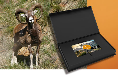 <i>Pour 1 chasseur</i><br><b>Découverte Chasse du Mouflon en Montagne</b><br><i>L'offre inclue</i><br>- 2 jours de chasse guidée.<br>- La location d'une arme durant le séjour.<br>- La taxe de prélèvement pour un mouflon mâle Classe 1.<br>- La pension complète pour 2 nuits en gîte de montagne ou auberge.<br><em>1830 €</em>