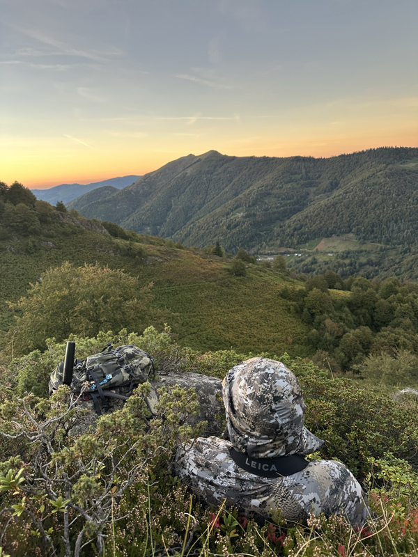 Chasse en montagne/Pyrénées