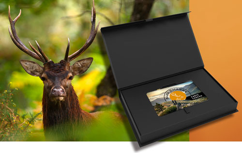 <i>Pour 1 chasseur 2390€ </i><br> <b>Découverte Brame du Cerf Pyrénéen</b><br> <i>L'offre inclue</i><br> - 2 jours de chasse guidée. <br> - La location d'une arme durant le séjour. <br> - La taxe de prélèvement pour un cerf de moins de 10 cors.<br> - La pension complète pour 2 nuits en gîte de montagne ou auberge. <br>