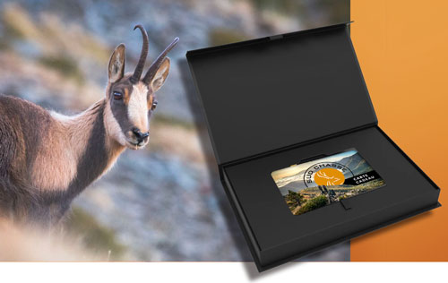 <i>Pour 1 chasseur 2390€ </i><br> <b>Chasse à l’isard dans les Pyrénées</b><br> <i>L'offre inclue</i><br> - 2 jours de chasse guidée. <br> - La location d'une arme durant le séjour. <br> - La taxe de prélèvement pour un isard adulte Mâle ou Femelle.<br> - La pension complète pour 2 nuits en gîte de montagne ou auberge. <br>
