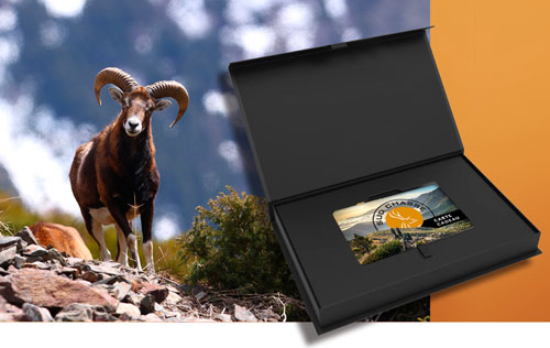 <i>Pour 1 chasseur 1990€ </i><br> <b>Chasse du Mouflon dans les Pyrénées</b><br> <i>L'offre inclue</i><br> - 2 jours de chasse guidée. <br> - La location d'une arme durant le séjour. <br> - La taxe de prélèvement pour un mouflon mâle Classe 1.<br> - La pension complète pour 2 nuits en gîte de montagne ou auberge. <br>